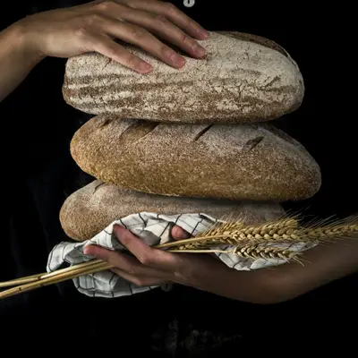 Grosses miches au levain tenues à deux mains